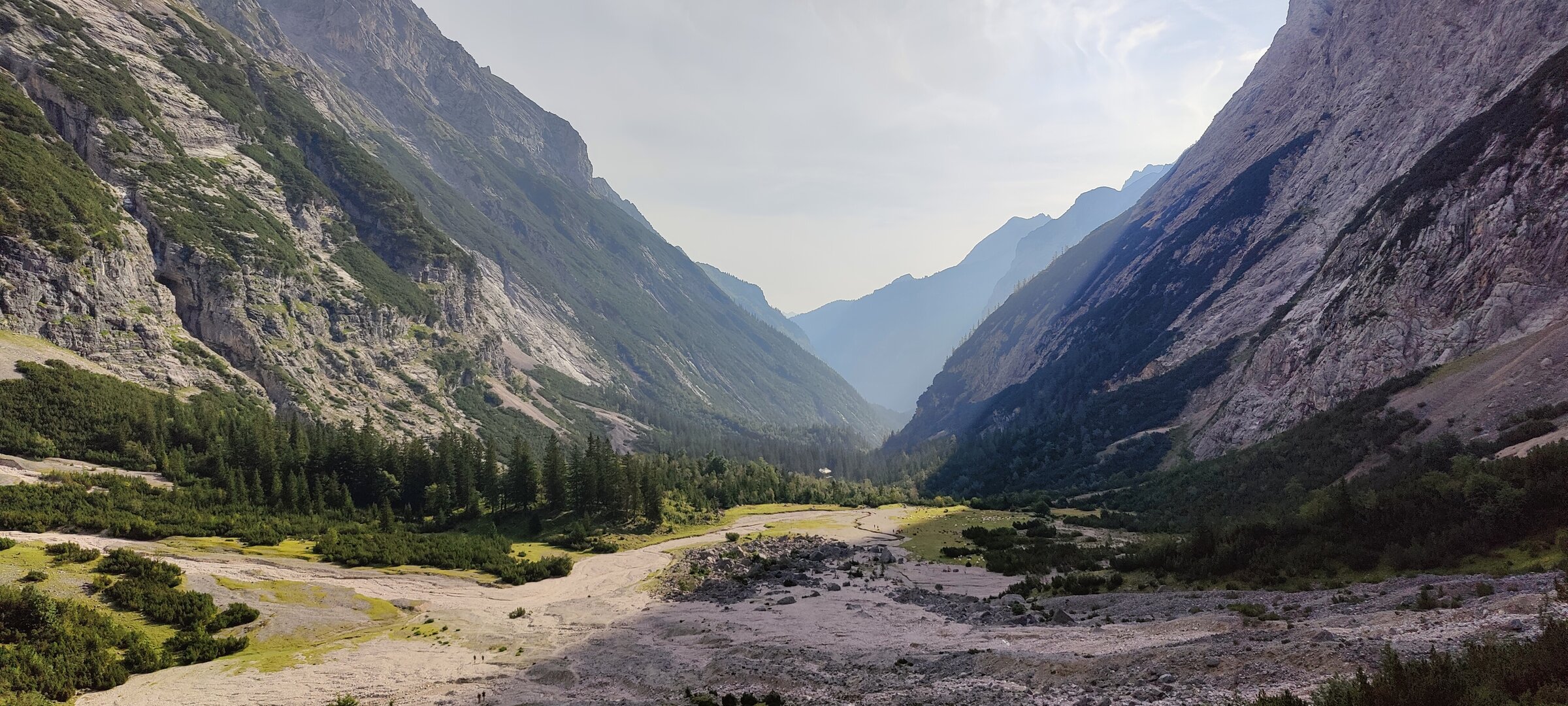 Above the treeline — the landscape turns to rock and sky