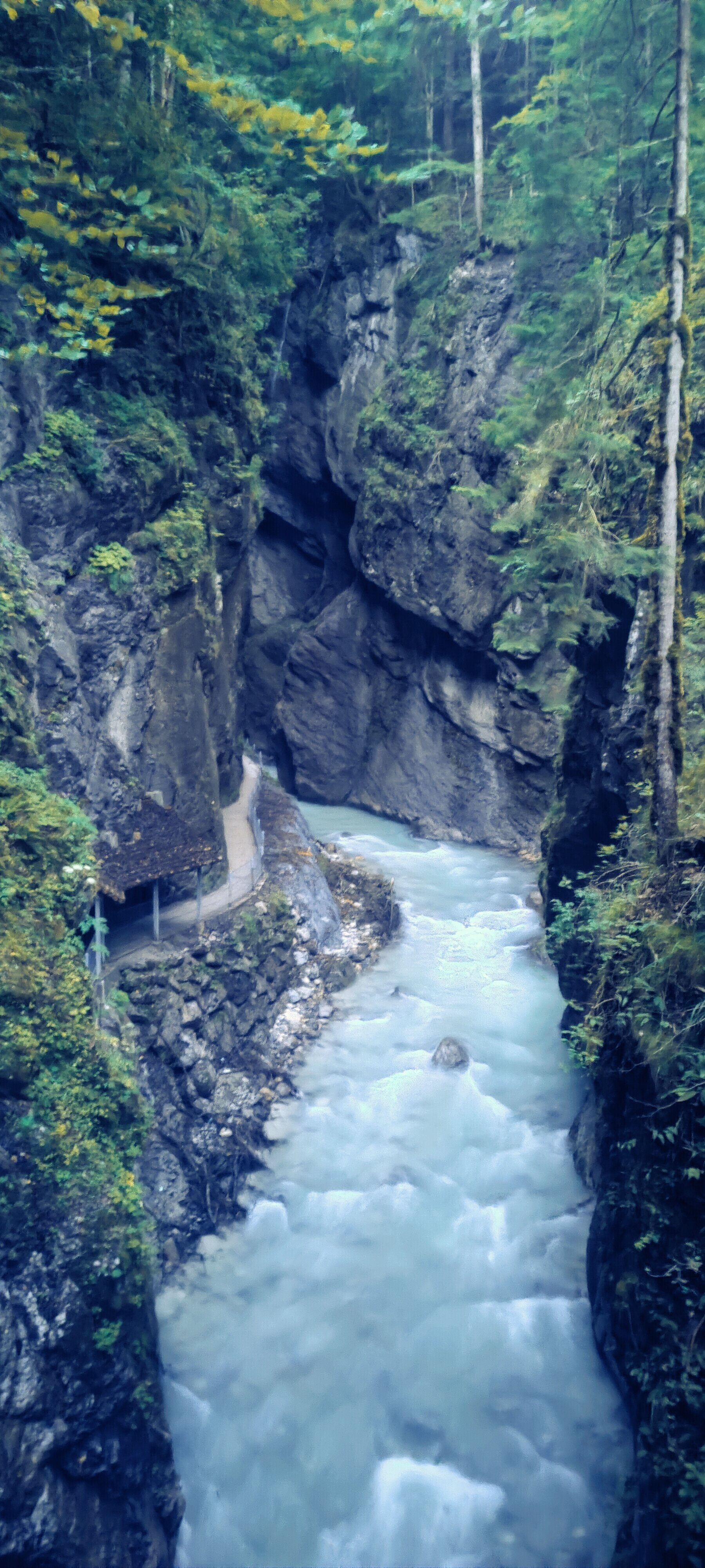 The Partnachklamm gorge from the bypass trail — turquoise water cutting through sheer rock walls
