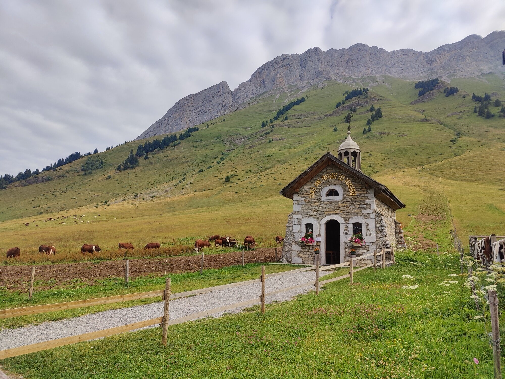 La chapelle au Col des Aravis — vaches, montagnes et sérénité alpine au petit matin